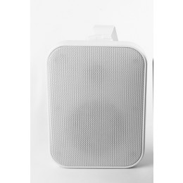 SVS Audiotechnik WSP-40 White Громкоговоритель настенный