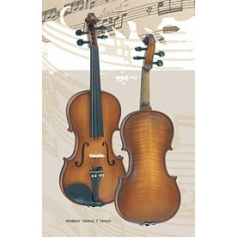 Gliga S-V044-Set Student Genial 1 Oil Скрипка 4/4 с чехлом