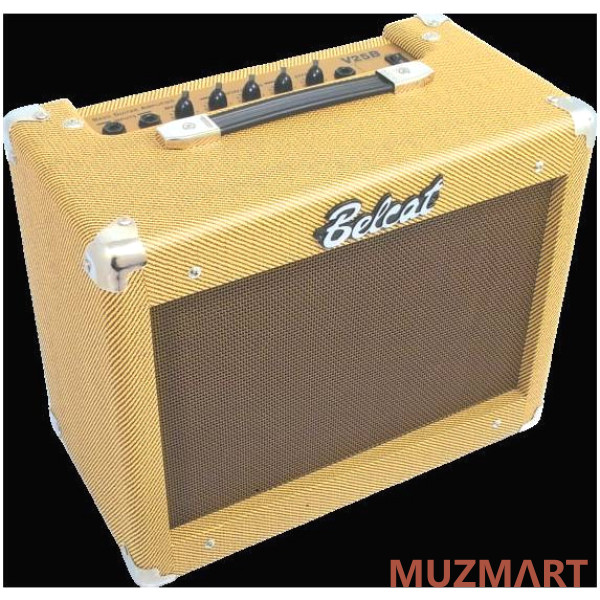 Belcat V25B Басовый комбоусилитель