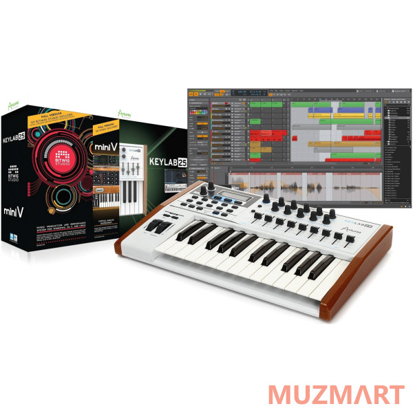 Arturia KeyLab 25 Producer Pack MIDI клавиатура